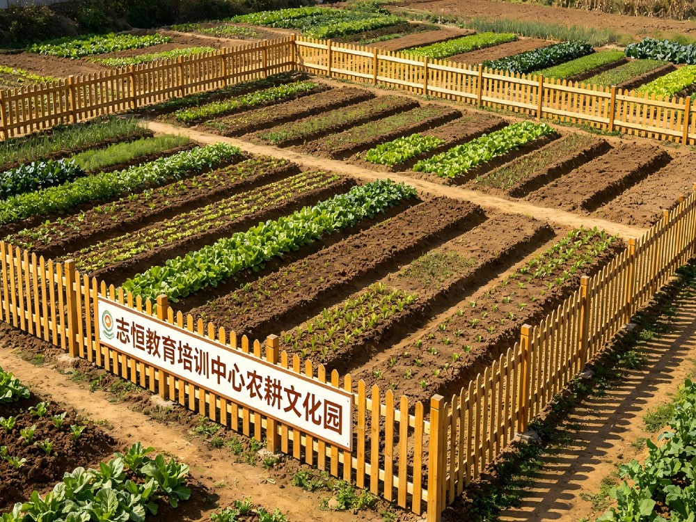 常德叛逆孩子全封闭管教学校怎么选？这份指引值得家长细读