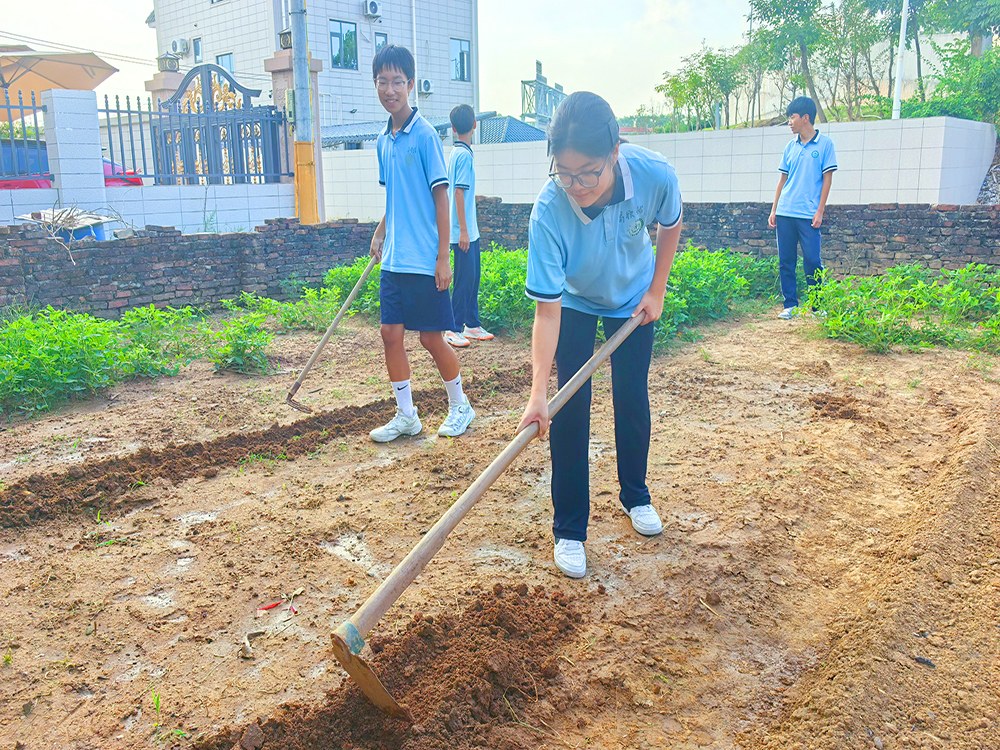 湖南常德全封闭寄宿学校具体位置与择校指南